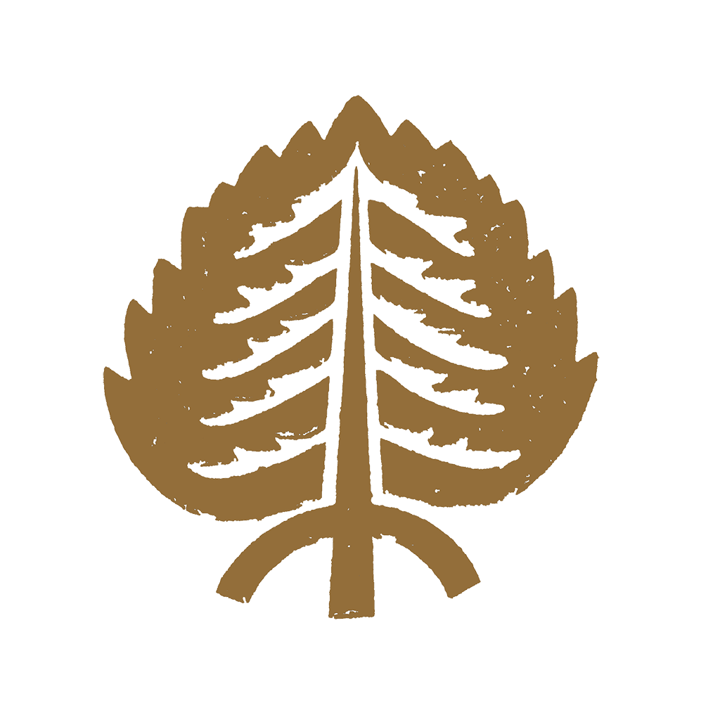 Dr. Bibi Organics Logo