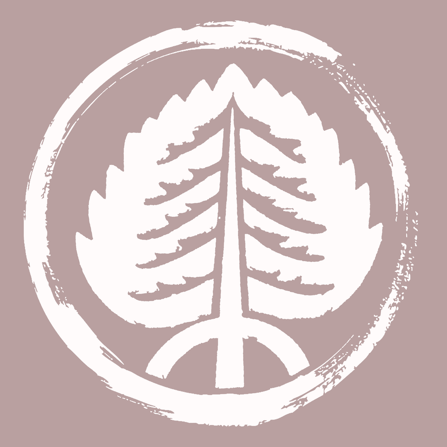 Dr. Bibi’s Skin Clarity Service