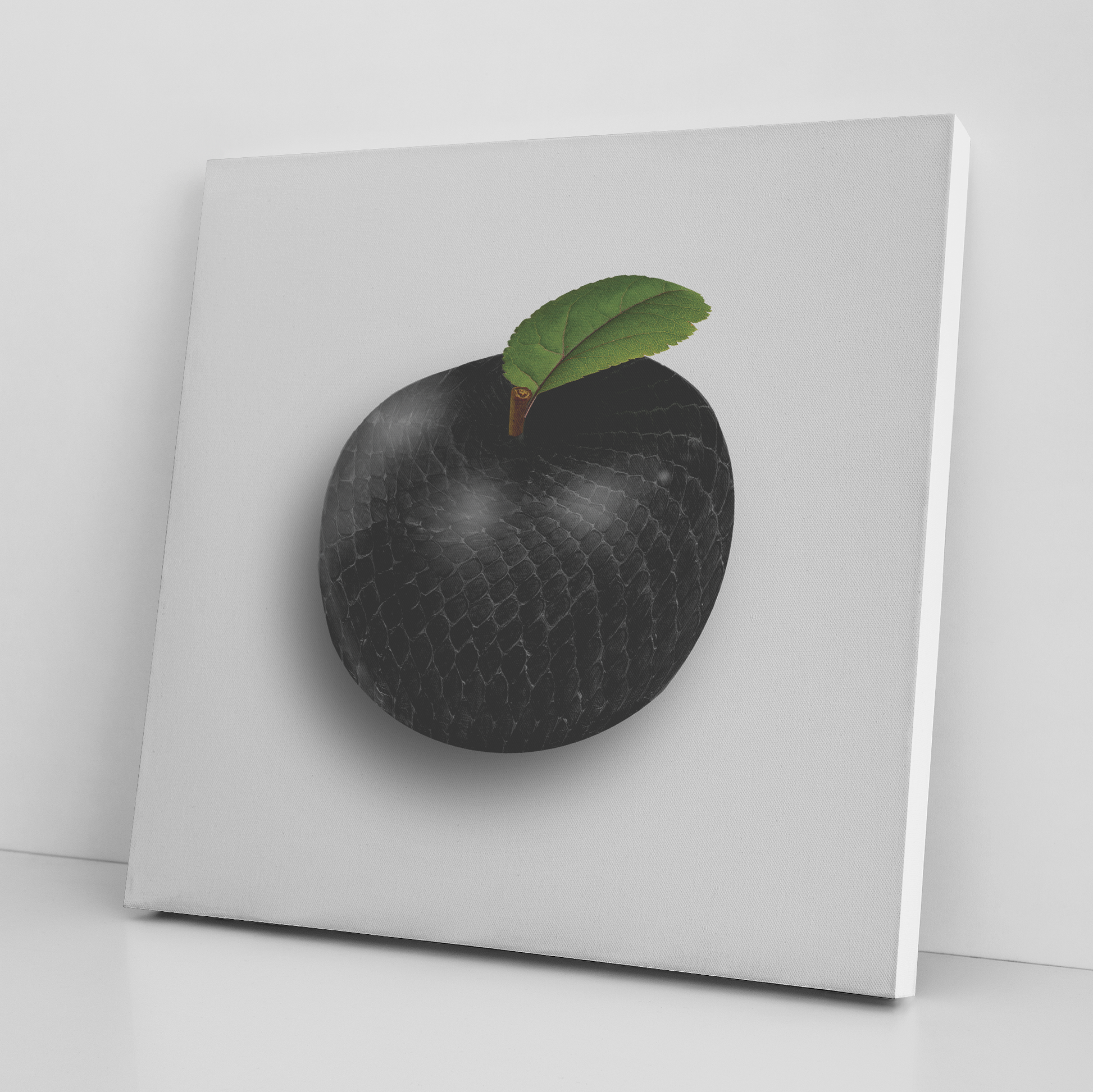 Black_Mambapple_Square_Angle_Floor_Mockup.png_9718783