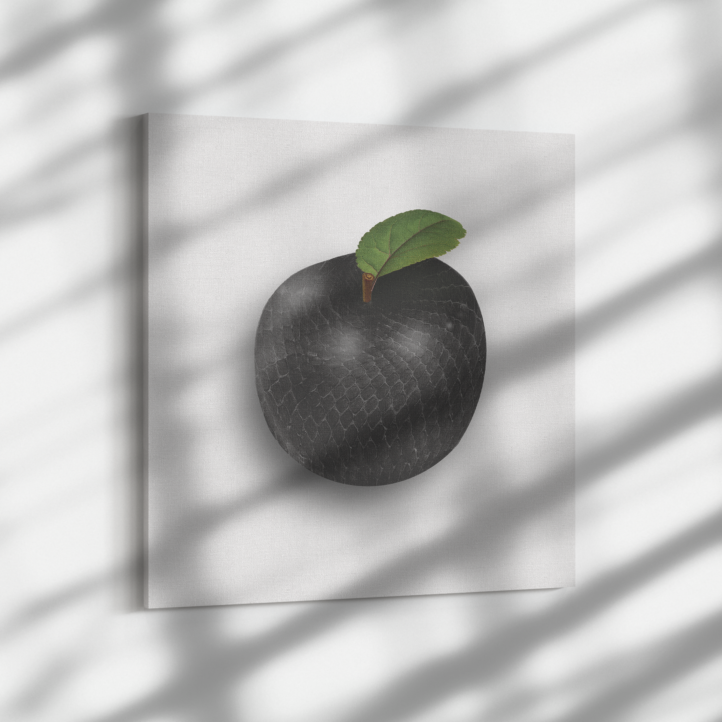 Black_Mambapple_Square_Dramatic_Shadow_Mockup.png_9718784