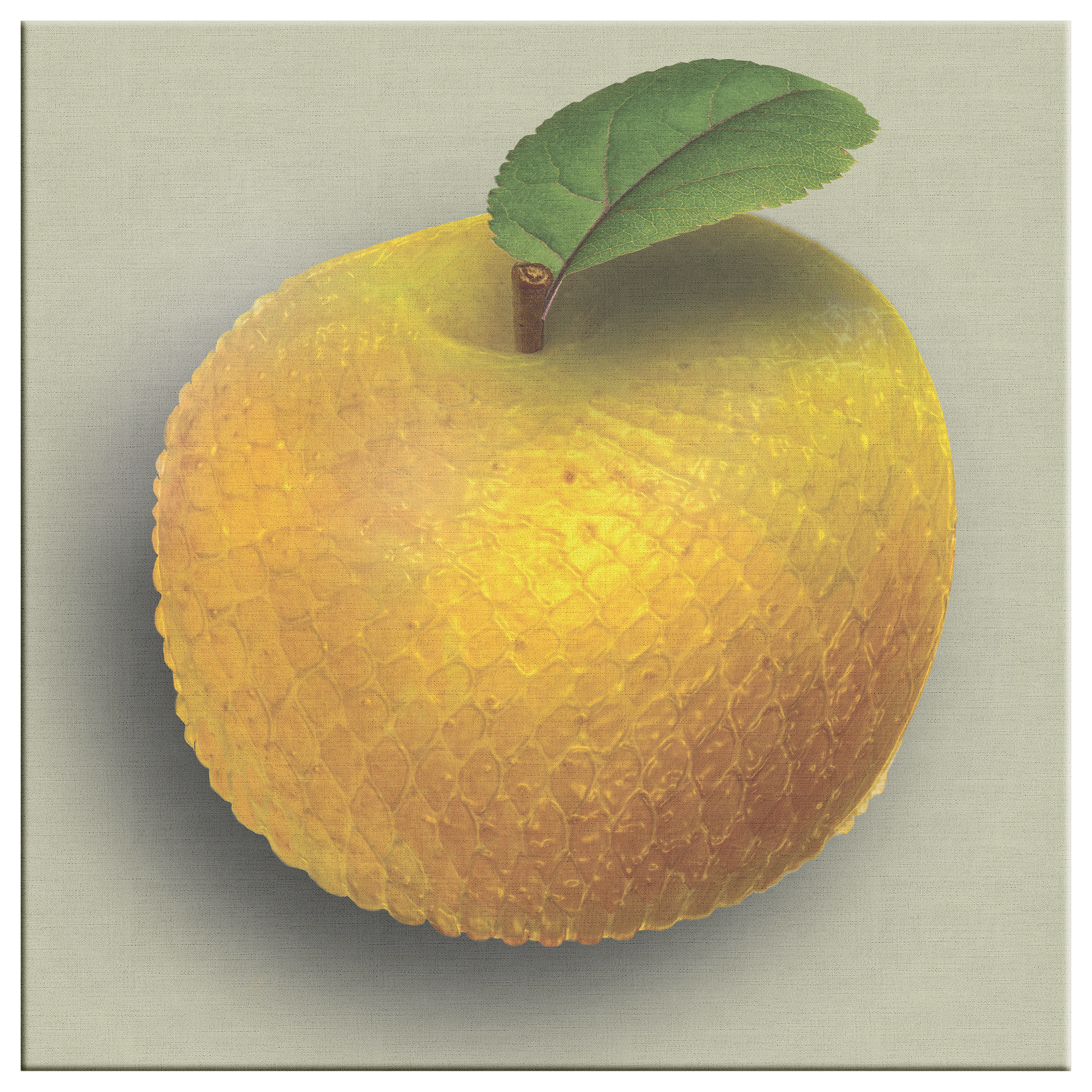 Golden_Mambapple_Square_Canvas_Main_Mockup.png_9486628