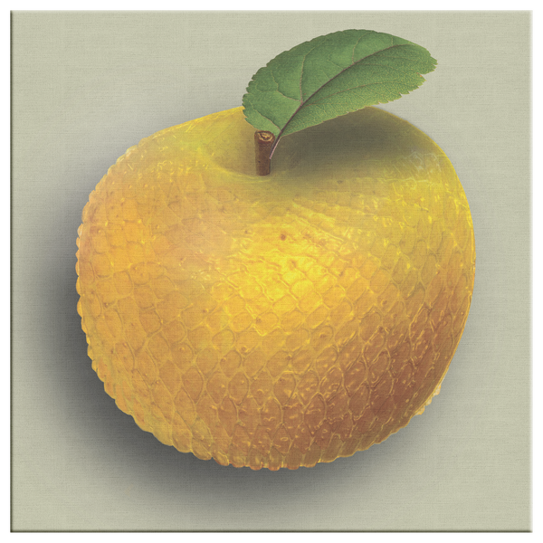 Golden_Mambapple_Square_Canvas_Main_Mockup.png_9486628