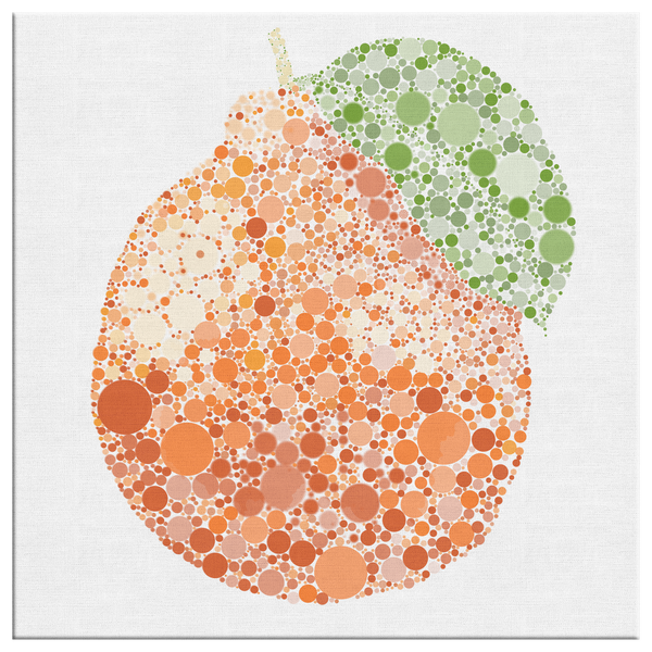 Ishihara_Tangelo_Square_Canvas_Main_Mockup.png_9814270