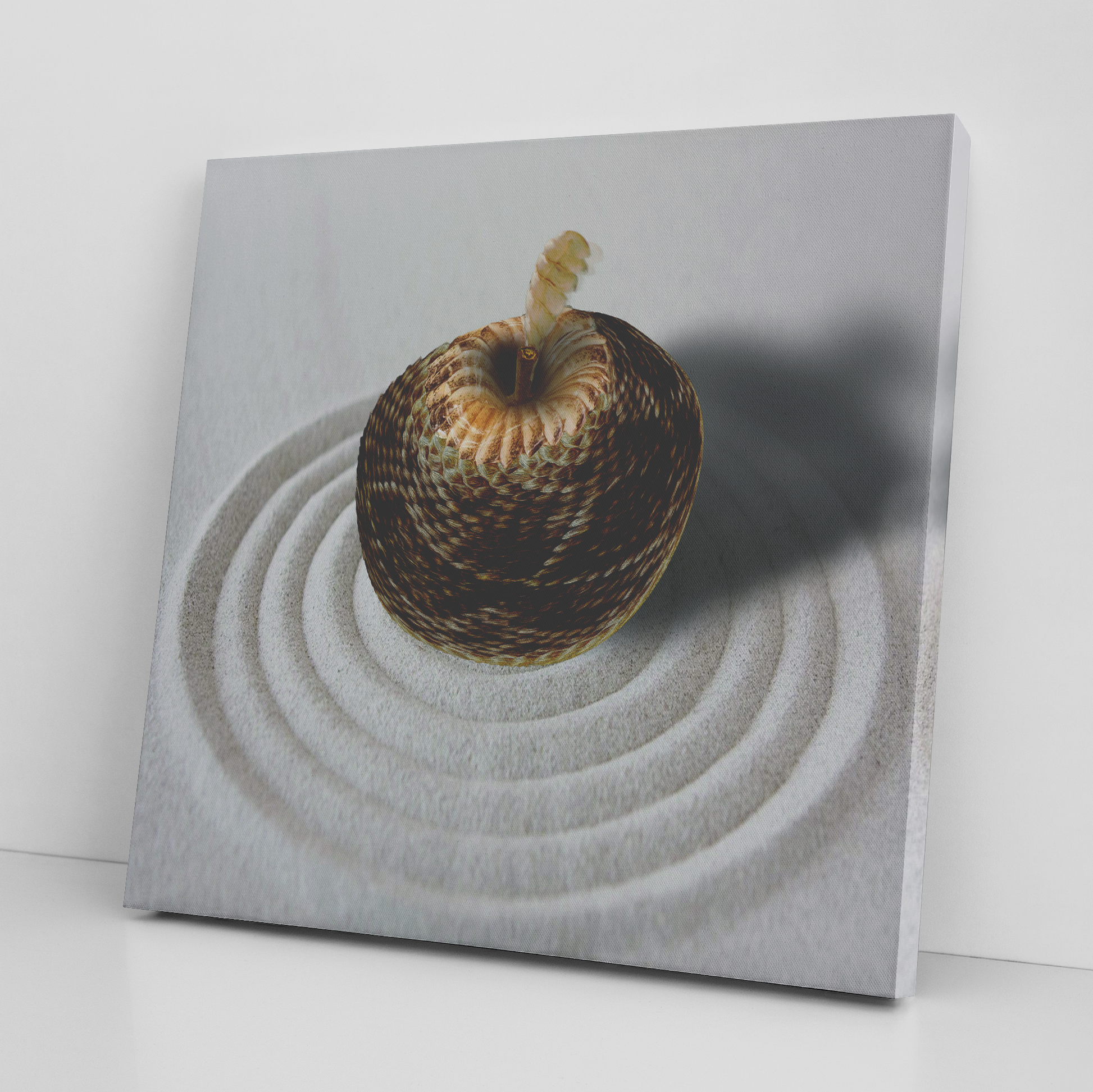 Rapple_Snake_Square_Angle_Floor_Mockup.png_9486502