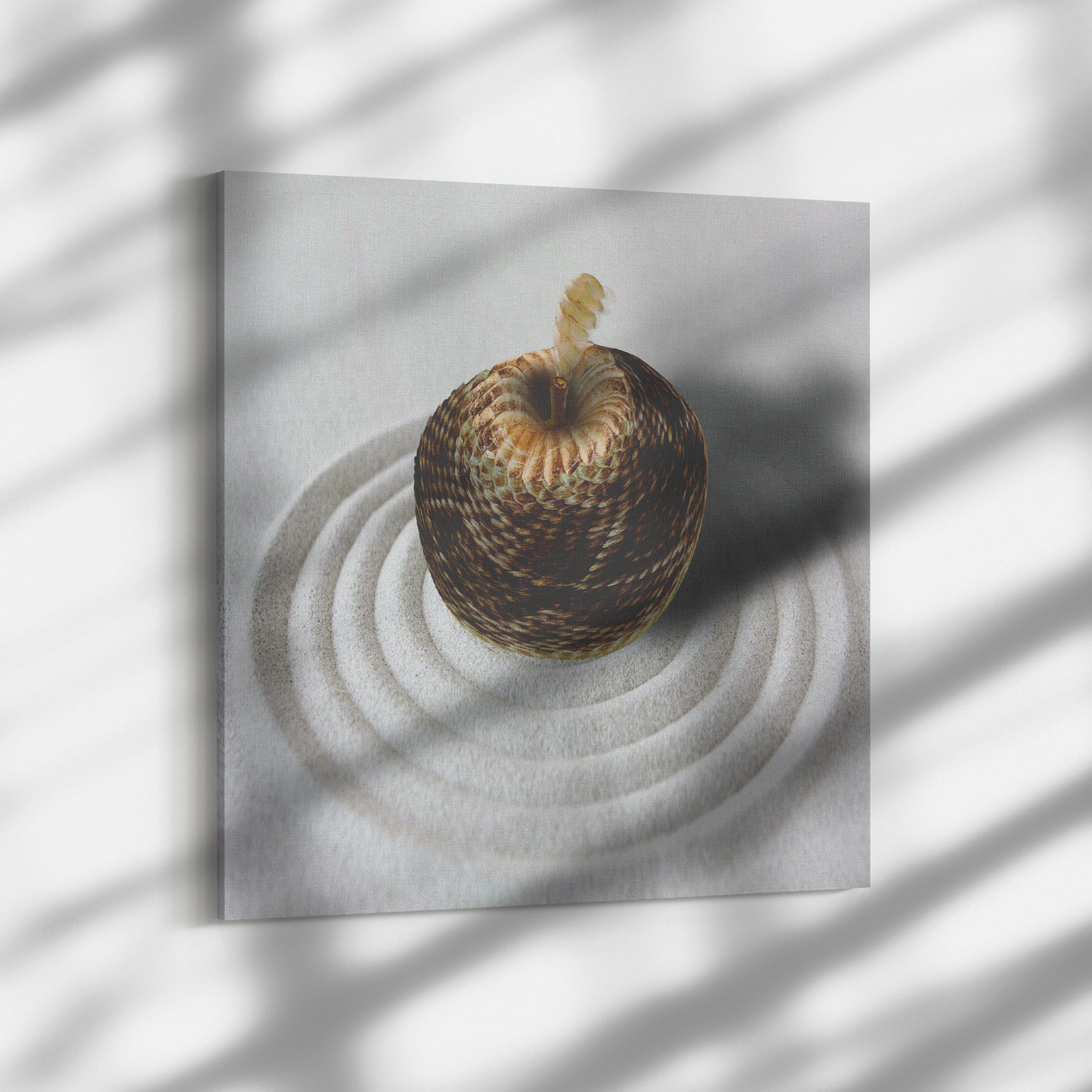 Rapple_Snake_Square_Dramatic_Shadow_Mockup.png_9486503